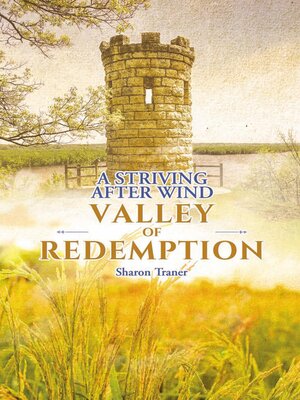 cover image of A Striving After Wind